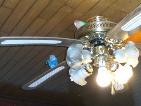 hier nog één en terwijl een schoonmaakje doen